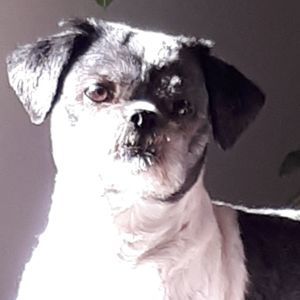 Meet your Posher, Johanne